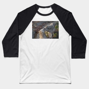 Gray Wolves Baseball T-Shirt